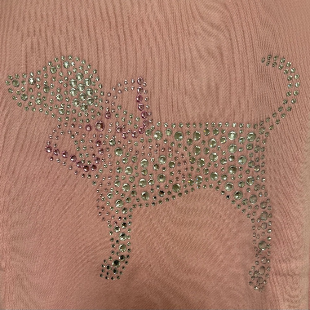 PINK Victoria's Secret LoveShackFancy Crewneck Dress Size XS - Picture 5 of 6